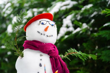 Снеговик из фетра своими руками с выкройками и шаблонами, схемы мастерклассов